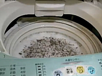 洗濯機を洗ってみたら結構すごい事になっていた動画。洗濯槽クリーニング