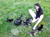 たくさんの子猫に追いかけられるお姉さんの幸せそうなビデオ。羨ましい。