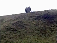 これは危ないｗｗｗ丘の上から巨大ドラムを転がしたらカメラマンを直撃したｗ