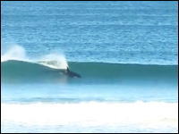 海が恋しくなるナツナツ動画。サーフィンの様に波で遊んでいるシャチさん