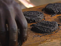 50万匹の蚊で作られたハンバーグ。蚊の集め方と食べ方のビデオ。アフリカ。