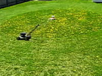 これは賢いな。ぐるぐる自動芝刈り機　手間を掛けずにお庭が綺麗に！？