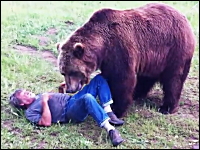 ハイイログマでけええ(@_@;)ぱっとみ食われているように見える巨大熊とヒト