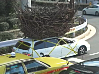 なんじゃこりゃ！？渋谷で撮影された屋根の上に巨大な物体を載せて走る車
