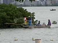 琵琶湖の外来魚（ブラックバス）駆除はこうやって行われる。電気ショッカー