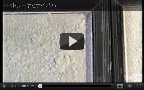 サティヤ・サイ・ババさん動画一覧。奇跡の砂、涙のペンダント、高橋弘二