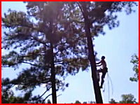 うめき声が怖い(@_@;)木の上で作業していた男性が落下して背中を骨折
