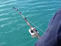 これは焦るわｗｗｗ魚釣りでまさかの強敵に奪われてしまった動画。OMG