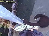これは豪快犯罪ｗｗｗ街に設置された監視カメラを支柱から切り倒す男たち