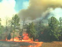 強風に煽られた炎のスピード。森林火災はなぜ広がるのか。映像が公開される