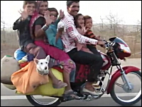 犬がシュールすぎるｗｗ一台のバイクに一家6人＋2匹！w(ﾟoﾟ)w乗りすぎｗｗ
