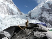エベレストのデスゾーンと呼ばれる地帯に横たわる挑戦者たちの遺体。動画像
