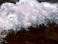 シャリシャリと針のような細い氷が次々と湧き出す不思議な現象。ミネソタ州