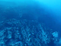 ダウンカレントに巻き込まれて海底に引きずり込まれるダイバーの映像。