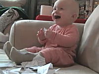 ほのぼの動画。目の前で紙を破ると大喜びする赤ちゃんの映像。幸せ動画。