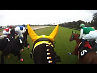 これは新しいな。競馬の馬載映像。ゲートインからゴールまで。東京競馬場。