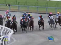 京都競馬場で先頭を走っていた馬が柵に接触、騎手が柵の外にぶっ飛ぶ事故