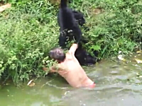 酔っ払った男性が動物園の猿の檻に落下。サルたちに襲われてしまう映像。