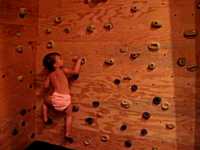 垂直の壁を登っちゃう2歳前のお子様ビデオ。玩具に釣られてボルタリング。