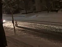 道路の真ん中に大きな雪だるまを置いて喜ぶ外人と空気を読んで蹴散らすバスｗ